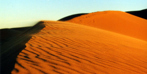 click for a bigger photo