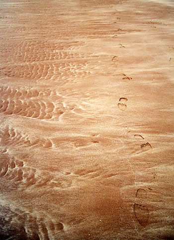Footprints